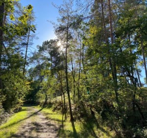 Huttopia VTT Musculaire - Antonne-et-Trigonant - 5