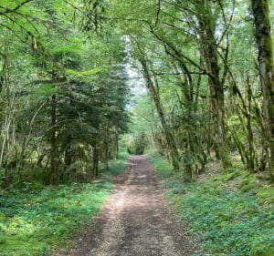 Balade près d'Onoz - Onoz - 3