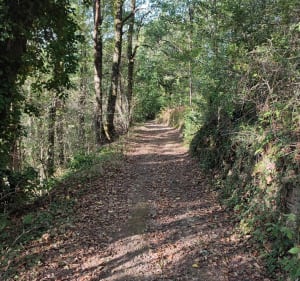 Balade sur les hauteurs de Prévinquières - Prévinquières - 5