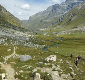 Le Lac de la Plagne du refuge de Roussel - Peisey-Nancroix - 4