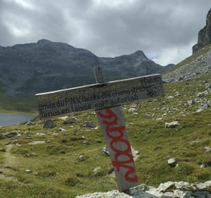Le Lac de la Plagne du refuge de Roussel - Peisey-Nancroix - 3