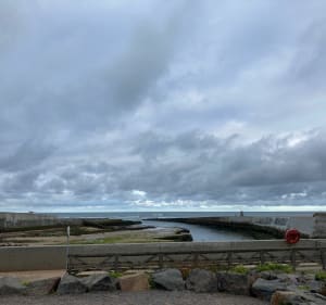 Vue sur l'océan: 2 fois le long de la forêt d'Olonne - Les Sables-d'Olonne - 3