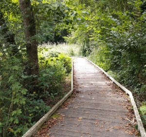 Sentier de découverte de Maincourt - Lévis-Saint-Nom - 3