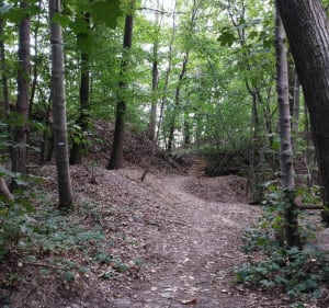 Sentier de découverte de Maincourt - Lévis-Saint-Nom - 4