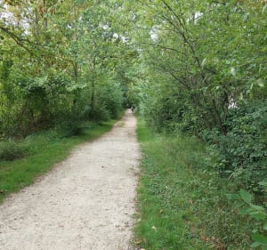 Autour de Chessy et Montévrain - Montévrain - 3