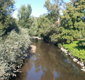 Balad'Azergues entre Chazay d'Azergues et Lozanne - Chazay-d'Azergues - 3