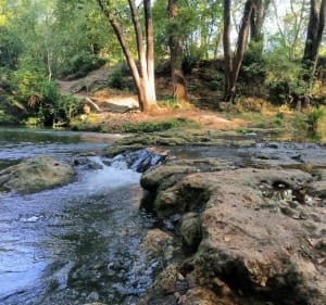 Tour du Lac de Carcès en partant du village - Carcès - 5