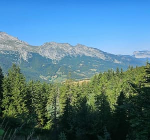 Randonnée  Col de Plan Bois - Sommet de Sulens - Les Clefs - 5