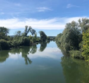 Notre Dame du bois de Banne - Sornay - 4