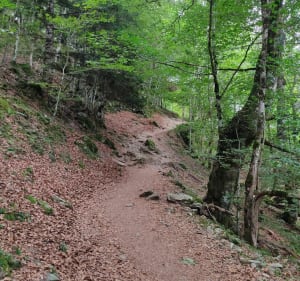 Directe wandeling via Lac Vert, langs de Houradade - Cazeaux-de-Larboust - 5