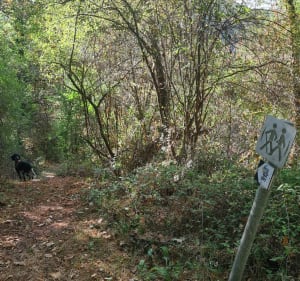 Chemin des enfarinés - Villecomtal - 4