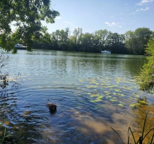 Entre Saône et Tille - Les Maillys - 4