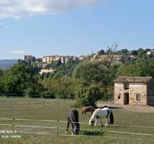 Boucle entre Bouches-du-Rhône et Vaucluse - Mallemort - 4