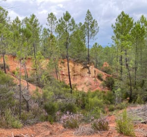 Boucle autour de Roussillon vers la Coquillade - Roussillon - 5