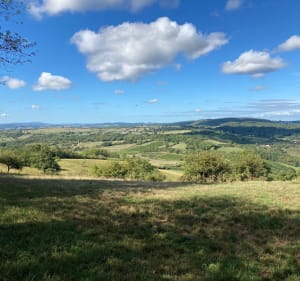 Boucle des 2 Madonnes sur les hauteurs de Givry. - Givry - 3