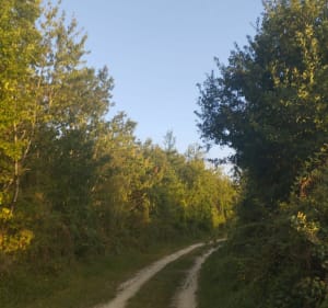 Mixte Moulin et rivières et Chemin de la rencontre à Voulon - Voulon - 4