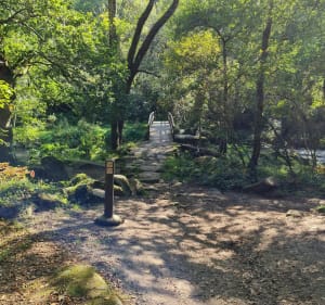 Lus in de Stangala-kloven - Quimper - 4
