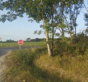 Mixte Moulin et rivières et Chemin de la rencontre à Voulon - Voulon - 5