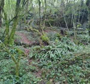Balade sentiers boisés, falaises et Lac des Jouffroux - Voulgézac - 4
