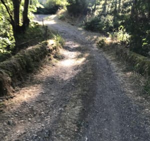 Vanuit Chambert, langs de Sailhant-waterval - Roffiac - 4