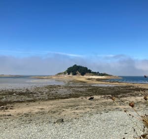 Belle balade entre la presqu’île et la hanse de Barnenez, jusqu’au Cairn - Plouezoc'h - 4