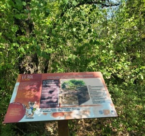 Sentier découverte de la grotte de la Cocalière - Courry - 3