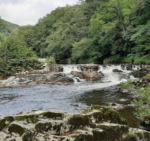 Balade au Saut de la Saule à Cheyssac - Vebret - 3