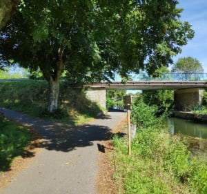 Balade de Montbéliard à Chèvremont avec belle vue sur les Vosges - Montbéliard - 3