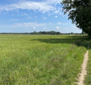 Boucle en forêt de Ferriere - Roissy-en-Brie - 4