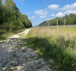 Boucle en forêt de Ferriere - Roissy-en-Brie - 5
