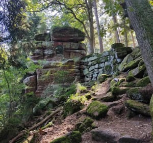 Wandelen op Mont Sainte-Odile - Ottrott - 4