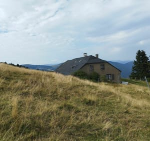 Randonnée du côté du col de Haag - Lautenbach-Zell - 3