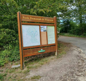Promenade en forêt de Maurepas et Bassin de la Courance - Jouars-Pontchartrain - 3