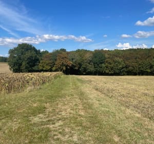 La randonnée des fontaines à Vénérand - Vénérand - 4