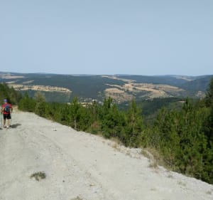 Entre le Mont Valdon et le col de la Loubière - Sainte-Hélène - 4