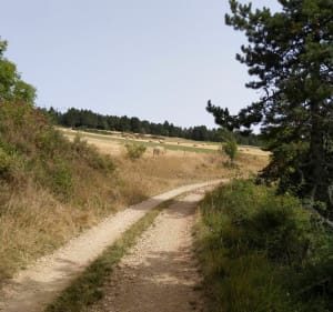 Entre le Mont Valdon et le col de la Loubière - Sainte-Hélène - 5