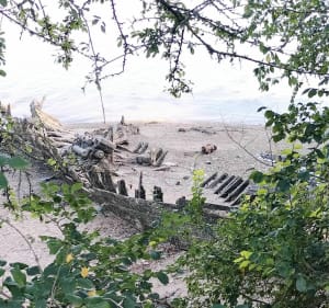 A Minihic, avec vue sur la Rance - Le Minihic-sur-Rance - 4