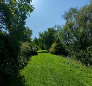 Sortie VTT le long de la Marne - La Ferté-sous-Jouarre - 5
