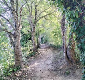 A Minihic, avec vue sur la Rance - Le Minihic-sur-Rance - 5