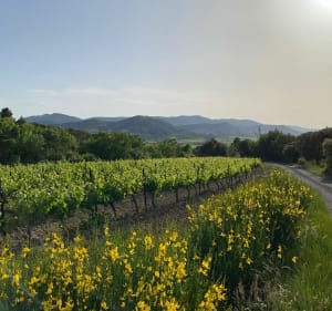 La Couscouillette par les crêtes et Montplaisir - Val-de-Dagne - 3