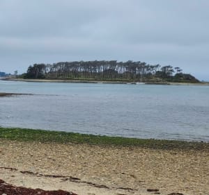 Tour de la presqu'île en gravel - Plougrescant - 3