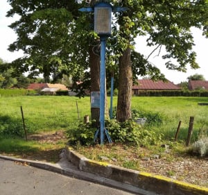 Chemin de campagne autour de Bachy et Rumes par Bois des Prêtres - Bachy - 3
