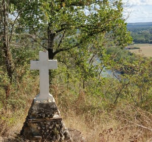 Entre coteaux et rivière du Tarn - Villemur-sur-Tarn - 5