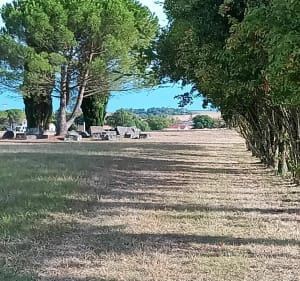Boucle les arènes de Thenac, étang de Preguillac - Les Gonds - 3