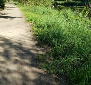 D'un bourg à l'autre par les chemins : Pacé / St-Grégoire / Betton - Pacé - 4