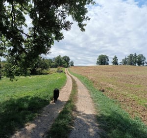 La boucle de Bonneval par la Tridarie - Fossemagne - 5
