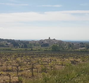 De Sablet à Séguret - Sablet - 3