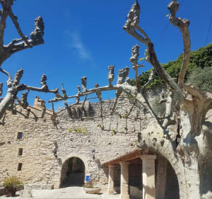 De Sablet à Séguret - Sablet - 4