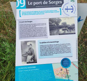 Au bord de l'Authion - Sainte-Gemmes-sur-Loire - 3