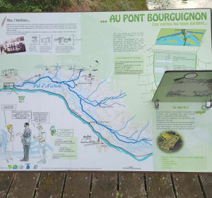 Au bord de l'Authion - Sainte-Gemmes-sur-Loire - 5